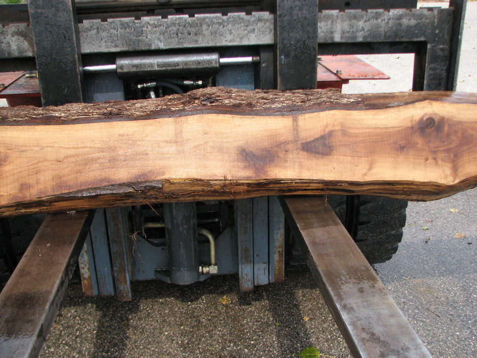 Walnut, American #7895(LA) - 4" x 7" to 16" x 129" - FREE SHIPPING within the Contiguous US. freeshipping - Big Wood Slabs