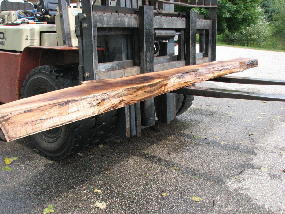 Walnut, American #7895(LA) - 4" x 7" to 16" x 129" - FREE SHIPPING within the Contiguous US. freeshipping - Big Wood Slabs