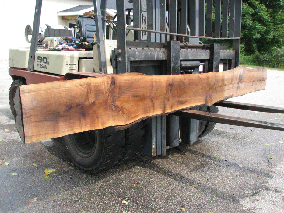 Walnut, American #7895(LA) - 4" x 7" to 16" x 129" - FREE SHIPPING within the Contiguous US. freeshipping - Big Wood Slabs