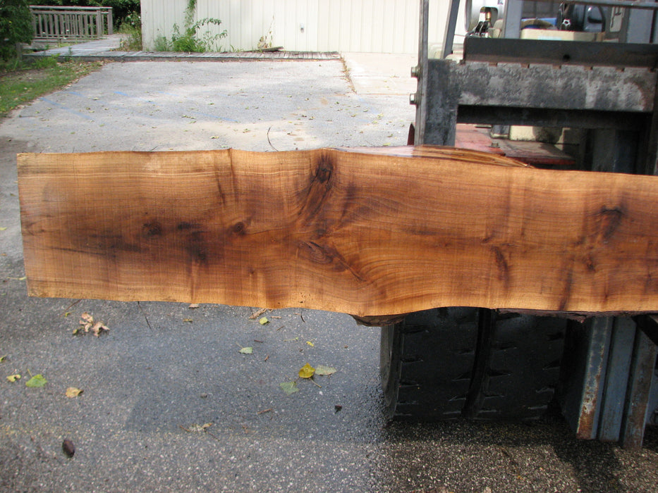 Walnut, American #7895(LA) - 4" x 7" to 16" x 129" - FREE SHIPPING within the Contiguous US. freeshipping - Big Wood Slabs