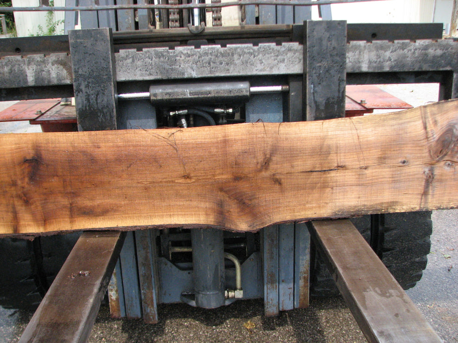 Walnut, American #7895(LA) - 4" x 7" to 16" x 129" - FREE SHIPPING within the Contiguous US. freeshipping - Big Wood Slabs