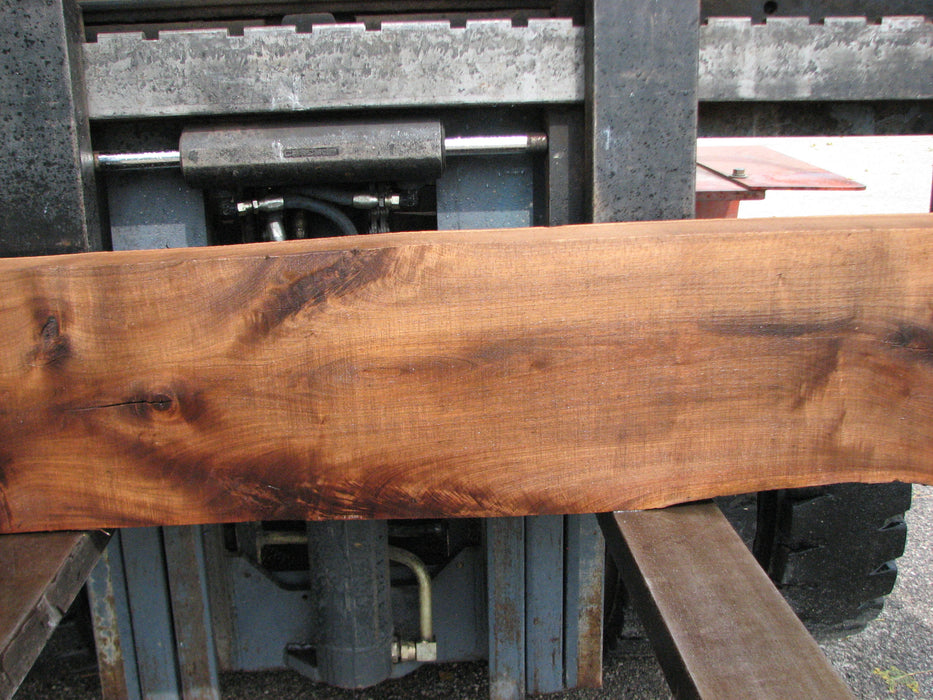 Walnut, American #7896(LA) - 5" x 9" to 11" x 92" - FREE SHIPPING within the Contiguous US. freeshipping - Big Wood Slabs