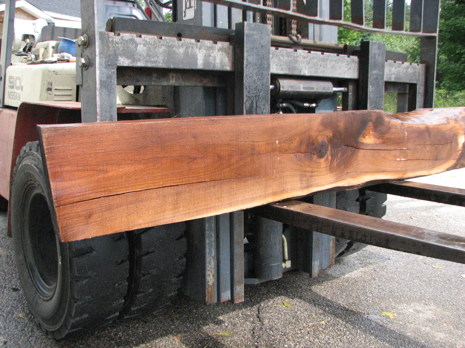 Walnut, American #7896(LA) - 5" x 9" to 11" x 92" - FREE SHIPPING within the Contiguous US. freeshipping - Big Wood Slabs