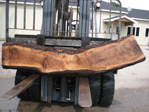 Walnut, American #7898(LA) - 4-1/4" x 9" to 16" x 85" - FREE SHIPPING within the Contiguous US. freeshipping - Big Wood Slabs