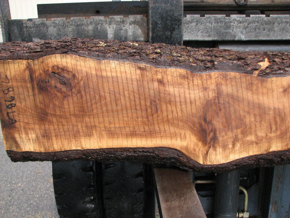 Walnut, American #7898(LA) - 4-1/4" x 9" to 16" x 85" - FREE SHIPPING within the Contiguous US. freeshipping - Big Wood Slabs