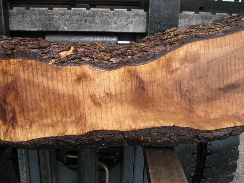 Walnut, American #7898(LA) - 4-1/4" x 9" to 16" x 85" - FREE SHIPPING within the Contiguous US. freeshipping - Big Wood Slabs