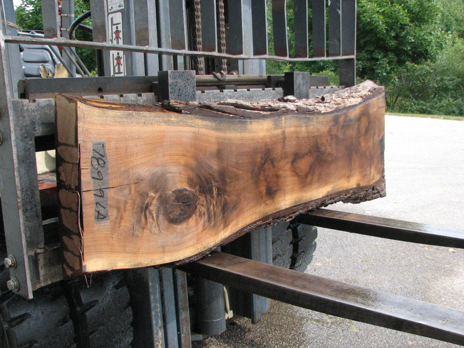 Walnut, American #7899(LA) - 4" x 14" to 17" x 72" - FREE SHIPPING within the Contiguous US. freeshipping - Big Wood Slabs