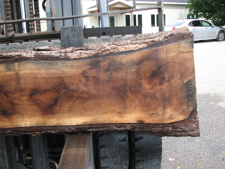 Walnut, American #7899(LA) - 4" x 14" to 17" x 72" - FREE SHIPPING within the Contiguous US. freeshipping - Big Wood Slabs