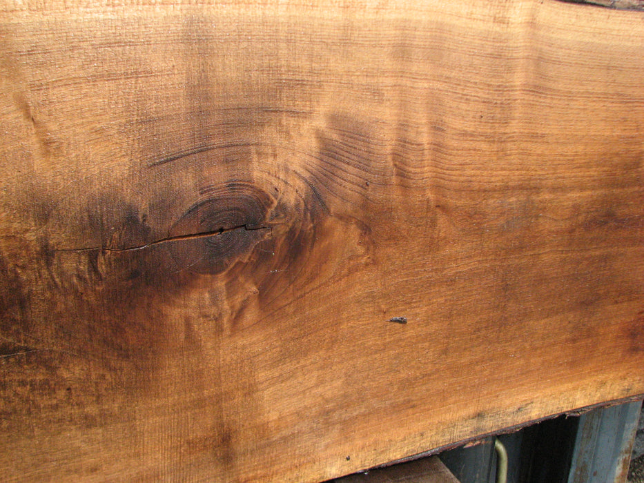 Walnut, American #7899(LA) - 4" x 14" to 17" x 72" - FREE SHIPPING within the Contiguous US. freeshipping - Big Wood Slabs
