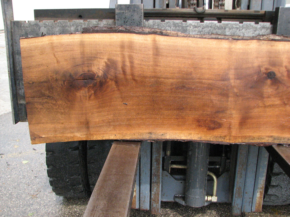 Walnut, American #7899(LA) - 4" x 14" to 17" x 72" - FREE SHIPPING within the Contiguous US. freeshipping - Big Wood Slabs