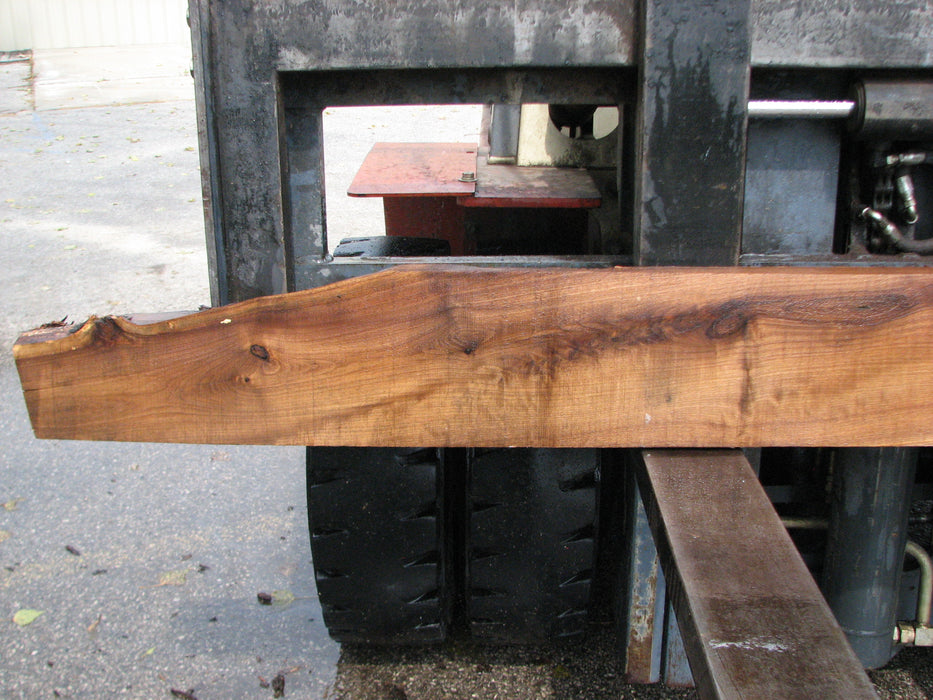Walnut, American #8001(LA) - 3" x 5" to 8" x 93" - FREE SHIPPING within the Contiguous US. freeshipping - Big Wood Slabs