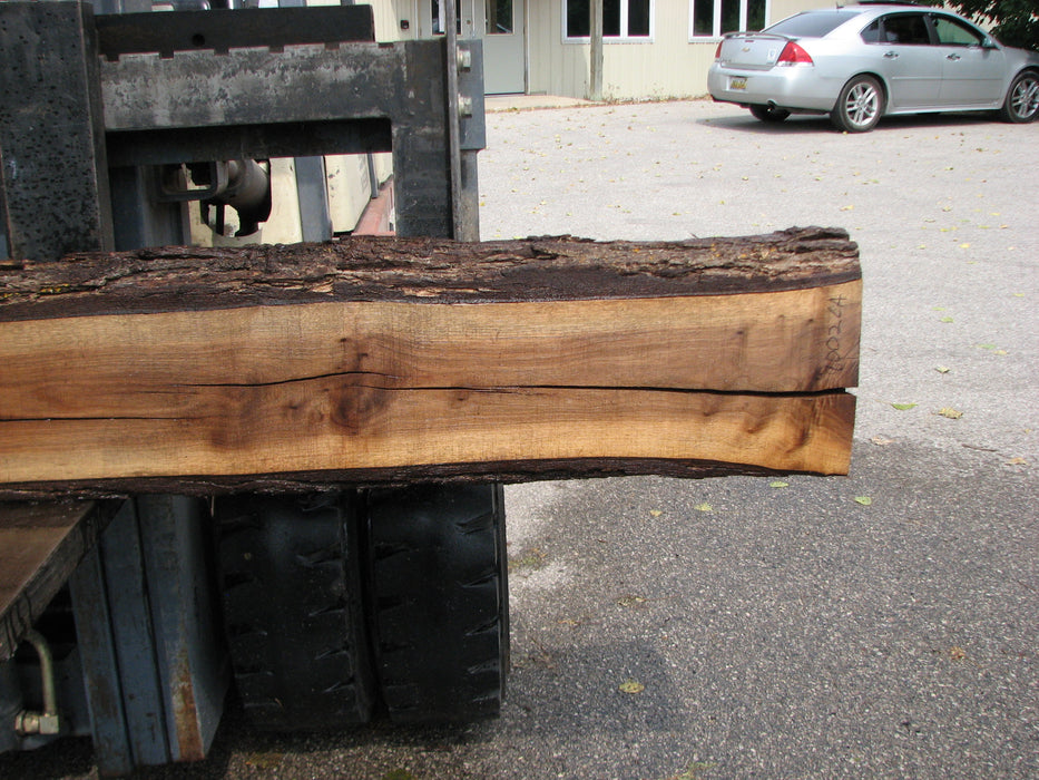 Walnut, American #8002(LA) - 5-1/2"" x 8" to 11" x 98" - FREE SHIPPING within the Contiguous US. freeshipping - Big Wood Slabs