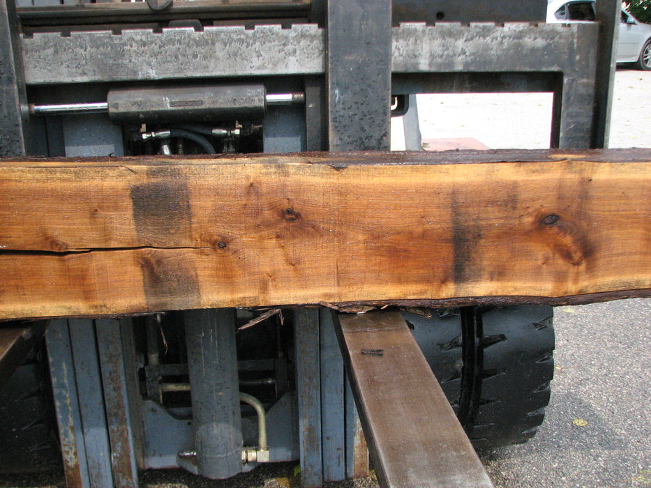 Walnut, American #8002(LA) - 5-1/2"" x 8" to 11" x 98" - FREE SHIPPING within the Contiguous US. freeshipping - Big Wood Slabs
