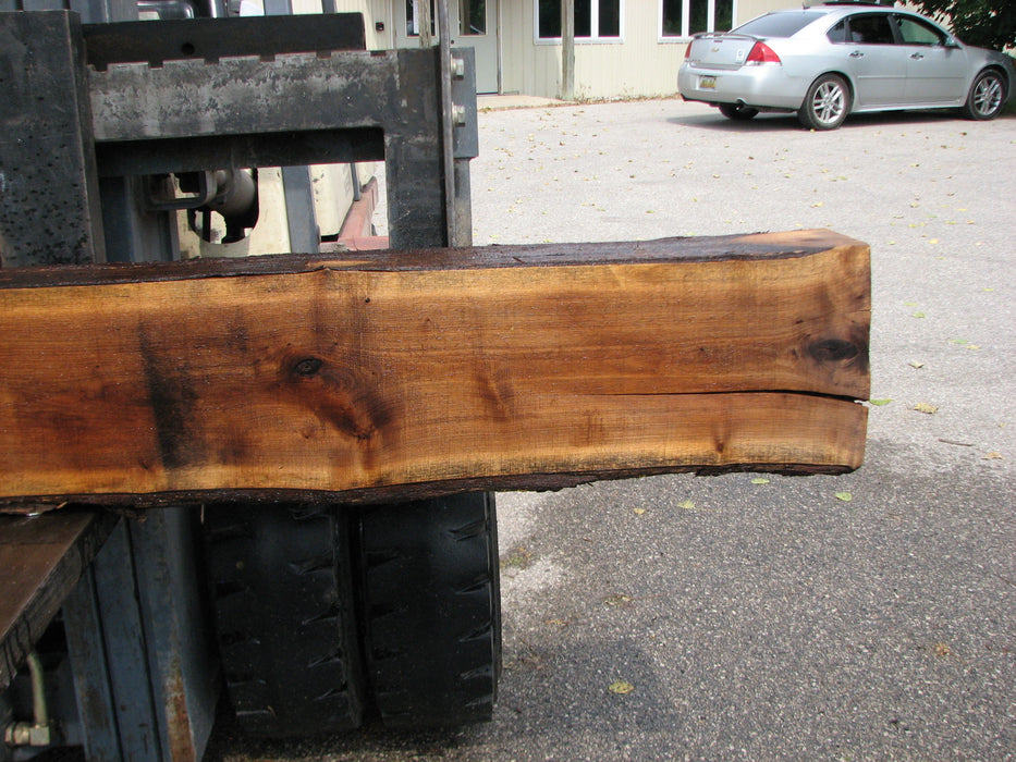 Walnut, American #8002(LA) - 5-1/2"" x 8" to 11" x 98" - FREE SHIPPING within the Contiguous US. freeshipping - Big Wood Slabs