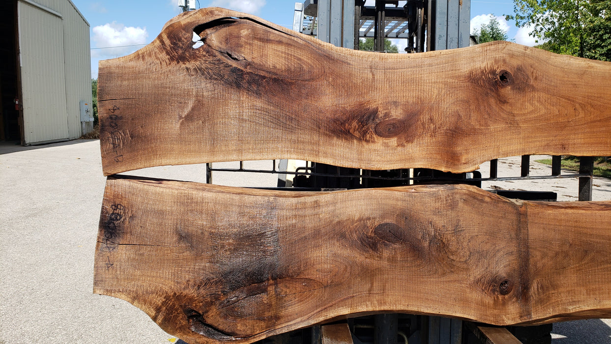Walnut, American #8006(LA)- Book Matched Set - 2-1/4" x (44" to 60") x 121" - FREE SHIPPING within the Contiguous US. freeshipping - Big Wood Slabs