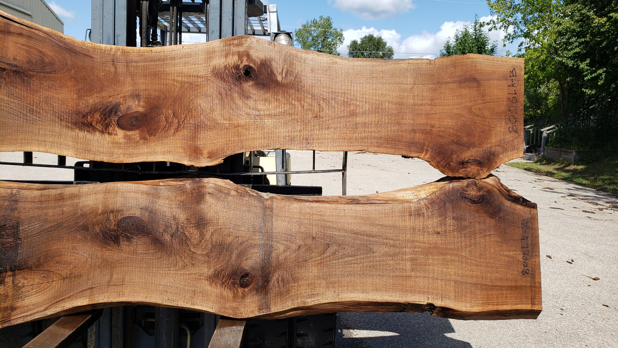 Walnut, American #8006(LA)- Book Matched Set - 2-1/4" x (44" to 60") x 121" - FREE SHIPPING within the Contiguous US. freeshipping - Big Wood Slabs