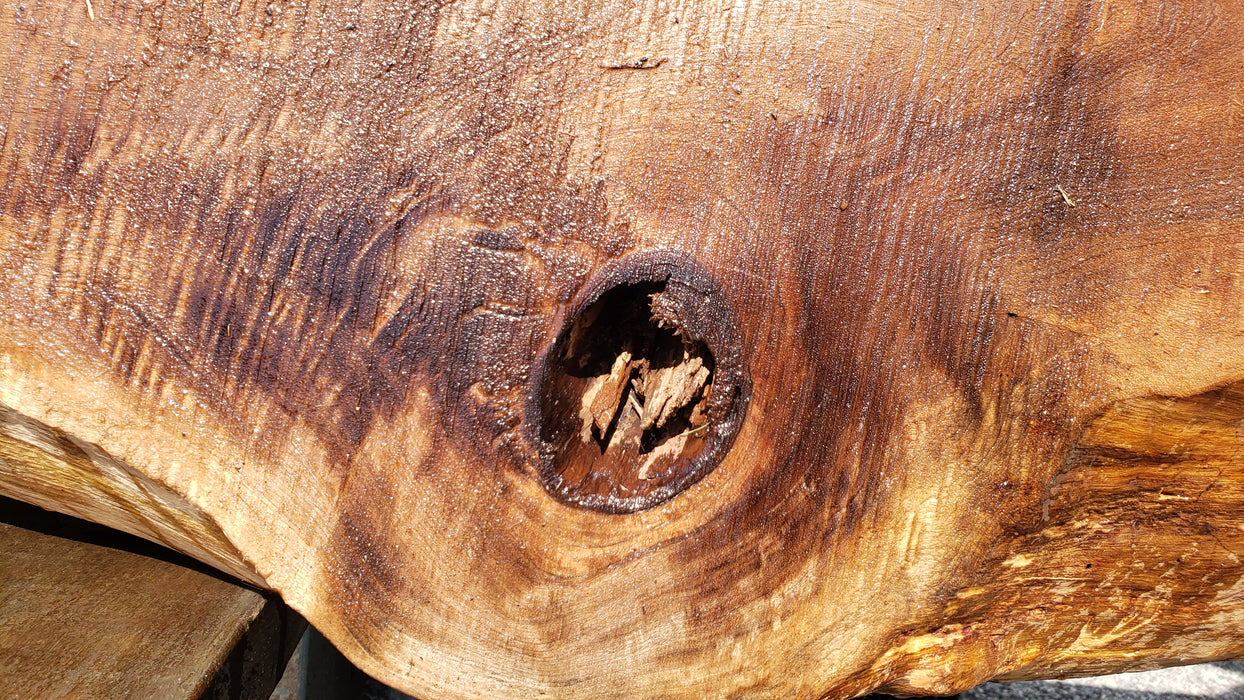 Walnut, American #8006(LA)- Book Matched Set - 2-1/4" x (44" to 60") x 121" - FREE SHIPPING within the Contiguous US. freeshipping - Big Wood Slabs