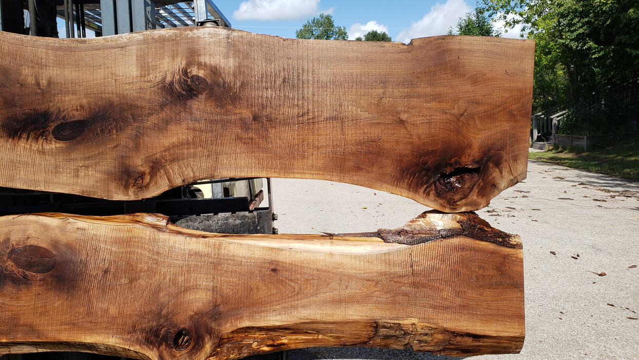 Walnut, American #8006(LA)- Book Matched Set - 2-1/4" x (44" to 60") x 121" - FREE SHIPPING within the Contiguous US. freeshipping - Big Wood Slabs