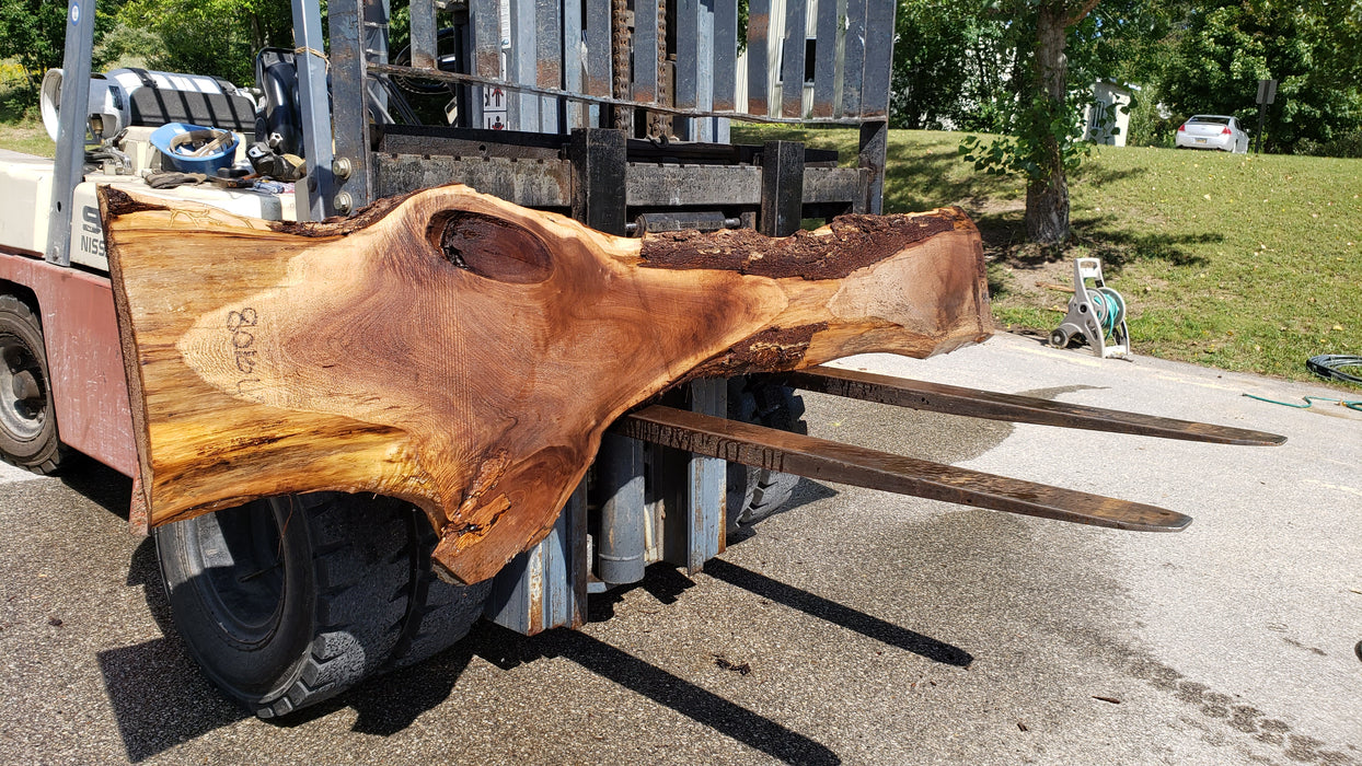 Walnut, American #8010(LA) - 2-1/4" x 3" to 28" x 110" - FREE SHIPPING within the Contiguous US. freeshipping - Big Wood Slabs