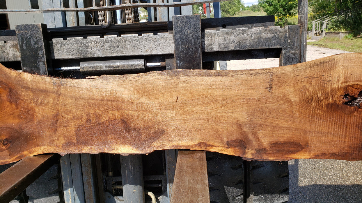 Walnut, American #8010(LA) - 2-1/4" x 3" to 28" x 110" - FREE SHIPPING within the Contiguous US. freeshipping - Big Wood Slabs