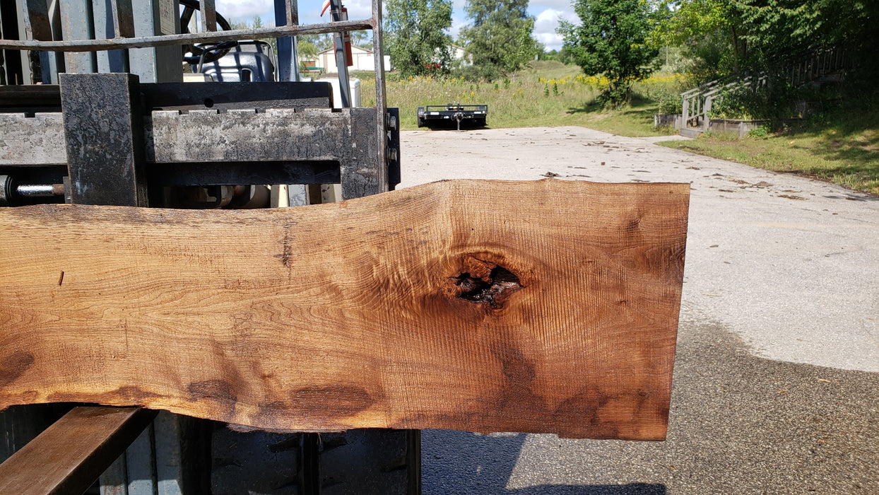 Walnut, American #8010(LA) - 2-1/4" x 3" to 28" x 110" - FREE SHIPPING within the Contiguous US. freeshipping - Big Wood Slabs