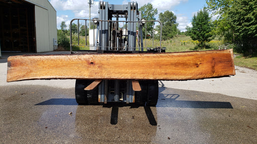 Cherry, American / Flame Figure #8012 (LA) - 2-1/2" x 18" to 21" x 175" FREE SHIPPING within the Contiguous US. freeshipping - Big Wood Slabs