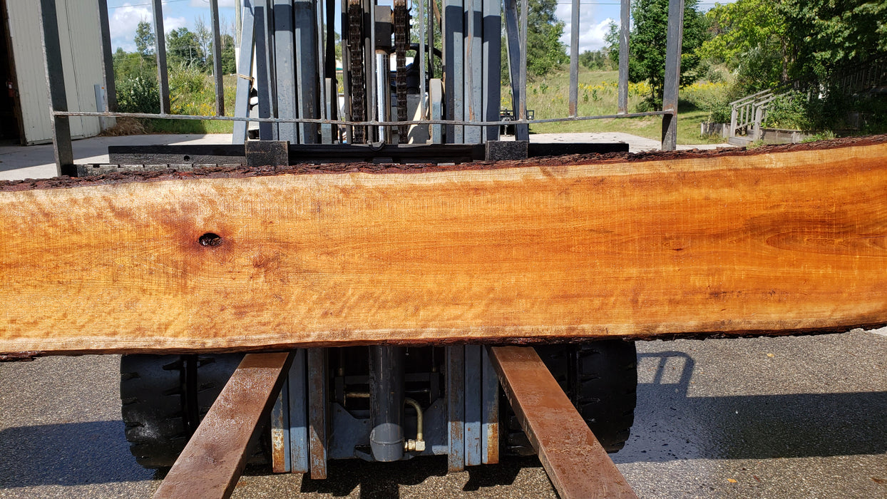 Cherry, American / Flame Figure #8012 (LA) - 2-1/2" x 18" to 21" x 175" FREE SHIPPING within the Contiguous US. freeshipping - Big Wood Slabs