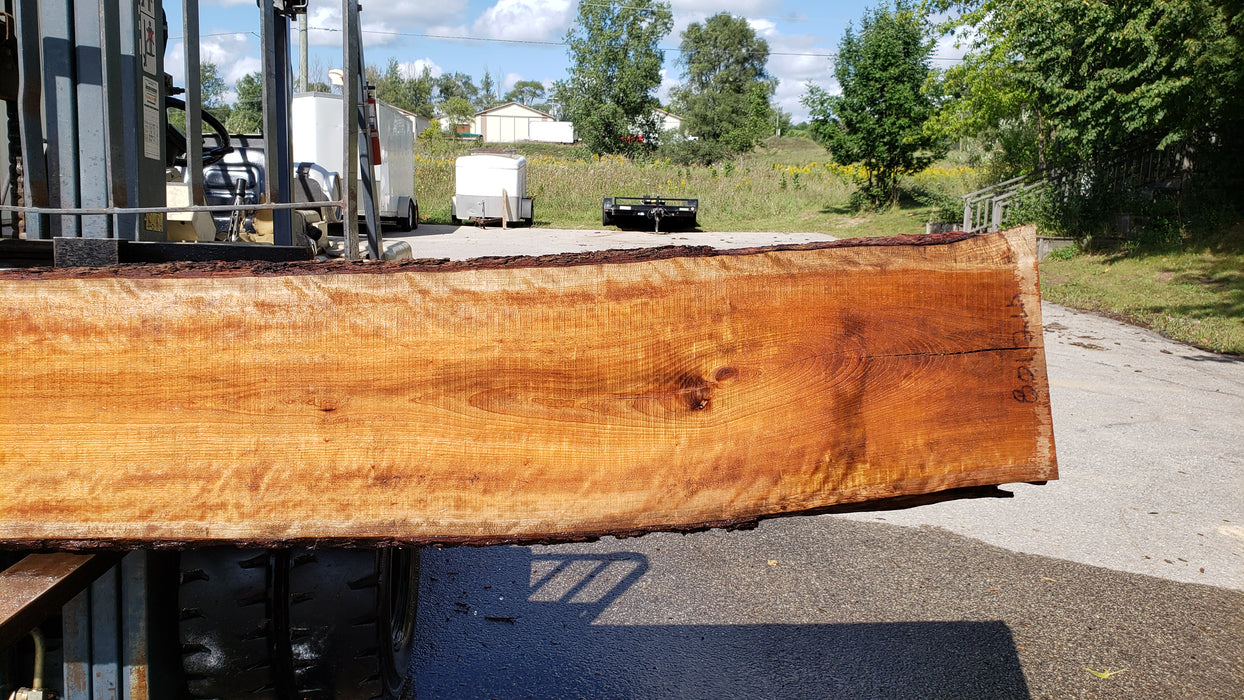 Cherry, American / Flame Figure #8012 (LA) - 2-1/2" x 18" to 21" x 175" FREE SHIPPING within the Contiguous US. freeshipping - Big Wood Slabs