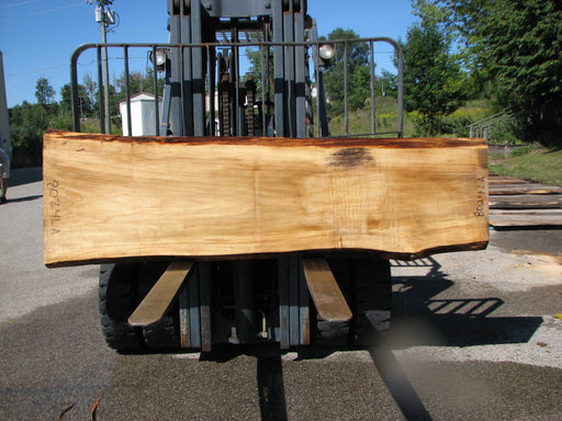 Cottonwood #8024(LA) - 2-1/4" x 20" to 28" x 96" FREE SHIPPING within the Contiguous US. freeshipping - Big Wood Slabs
