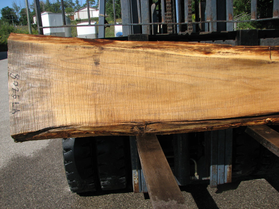 Cottonwood #8026(LA) - 1-1/2" to 2-1/2" x 8" to 21" x 94" FREE SHIPPING within the Contiguous US. freeshipping - Big Wood Slabs