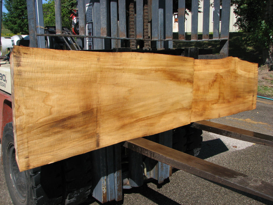 Cottonwood #8026(LA) - 1-1/2" to 2-1/2" x 8" to 21" x 94" FREE SHIPPING within the Contiguous US. freeshipping - Big Wood Slabs