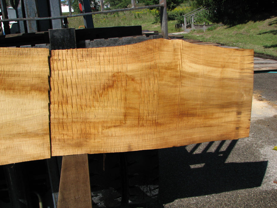 Cottonwood #8026(LA) - 1-1/2" to 2-1/2" x 8" to 21" x 94" FREE SHIPPING within the Contiguous US. freeshipping - Big Wood Slabs