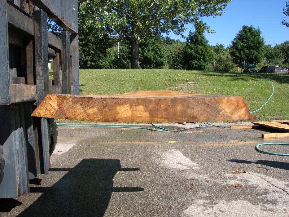 Cottonwood #8026(LA) - 1-1/2" to 2-1/2" x 8" to 21" x 94" FREE SHIPPING within the Contiguous US. freeshipping - Big Wood Slabs