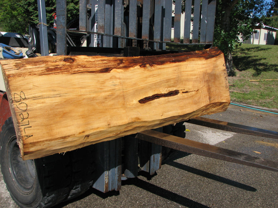 Cottonwood #8027(LA) - 2-1/4" to 2-1/2" x 13" to 20" x 88" FREE SHIPPING within the Contiguous US. freeshipping - Big Wood Slabs