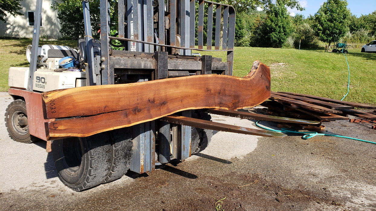 Walnut, American #8028(LA) - 2" x 11" to 23" x 132" - FREE SHIPPING within the Contiguous US. freeshipping - Big Wood Slabs