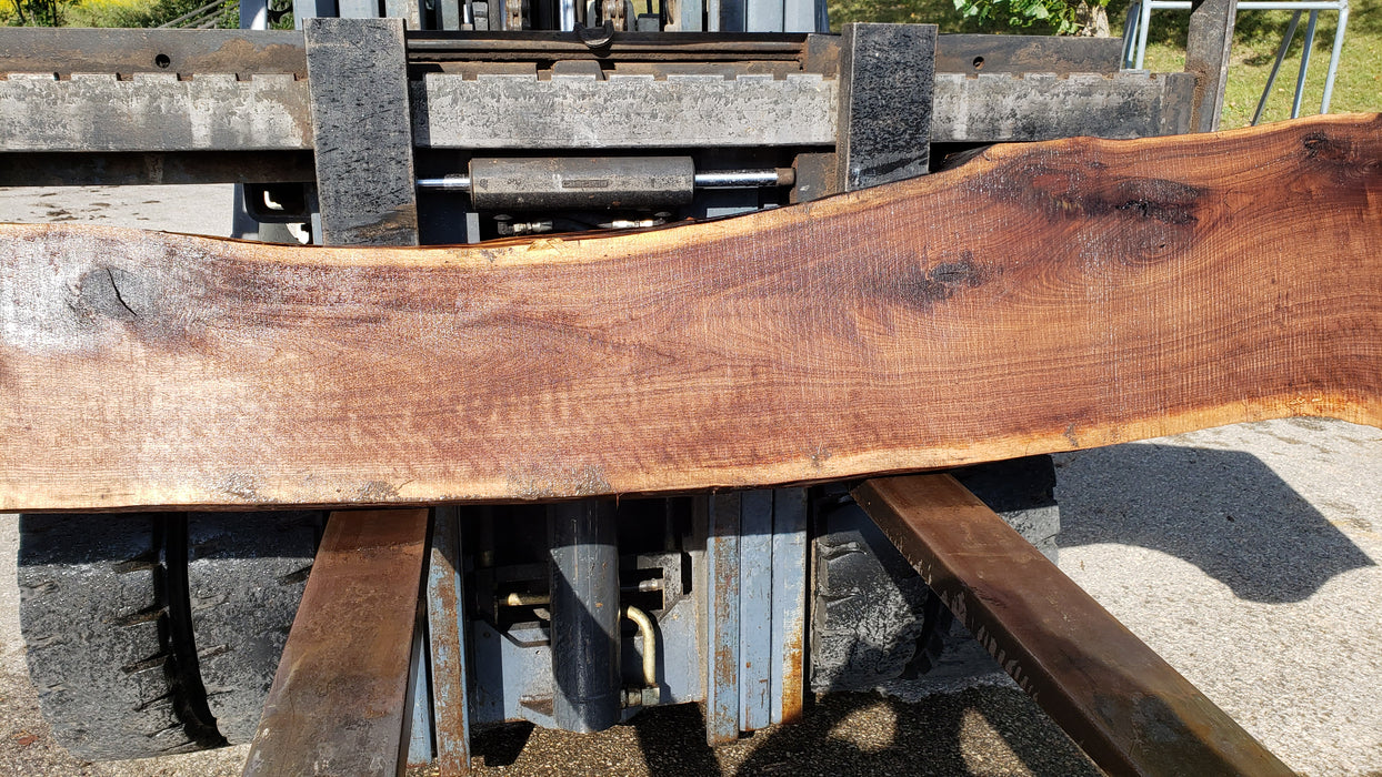 Walnut, American #8028(LA) - 2" x 11" to 23" x 132" - FREE SHIPPING within the Contiguous US. freeshipping - Big Wood Slabs