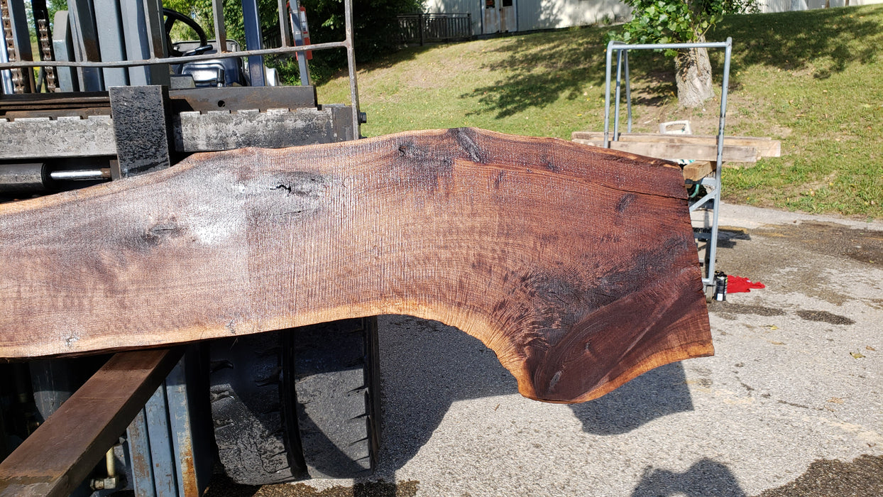 Walnut, American #8028(LA) - 2" x 11" to 23" x 132" - FREE SHIPPING within the Contiguous US. freeshipping - Big Wood Slabs