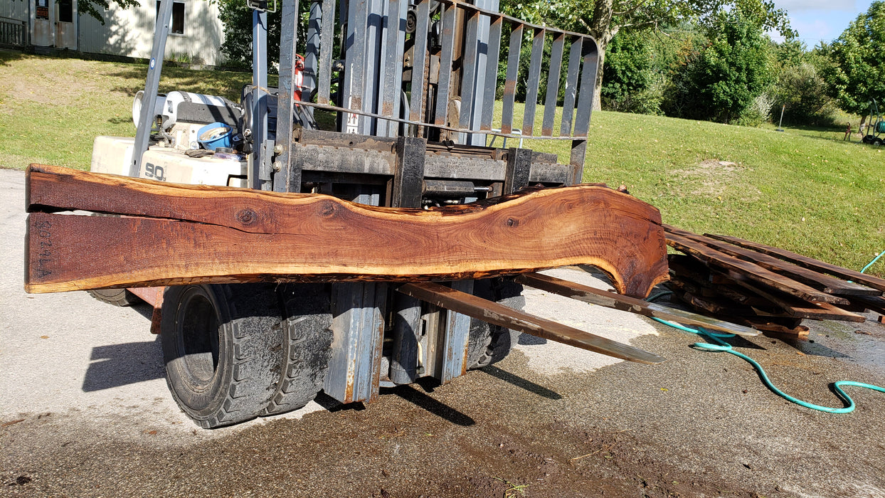 Walnut, American #8029(LA) - 2" x 10" to 23" x 132" - FREE SHIPPING within the Contiguous US. freeshipping - Big Wood Slabs