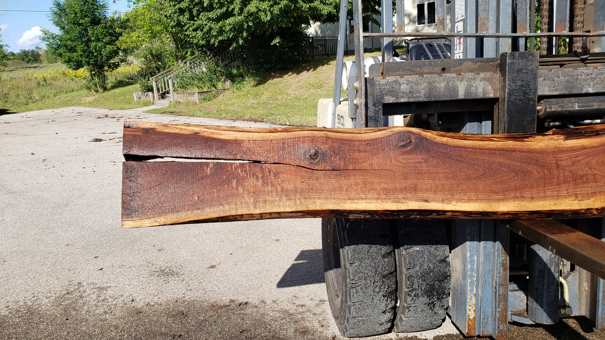 Walnut, American #8029(LA) - 2" x 10" to 23" x 132" - FREE SHIPPING within the Contiguous US. freeshipping - Big Wood Slabs