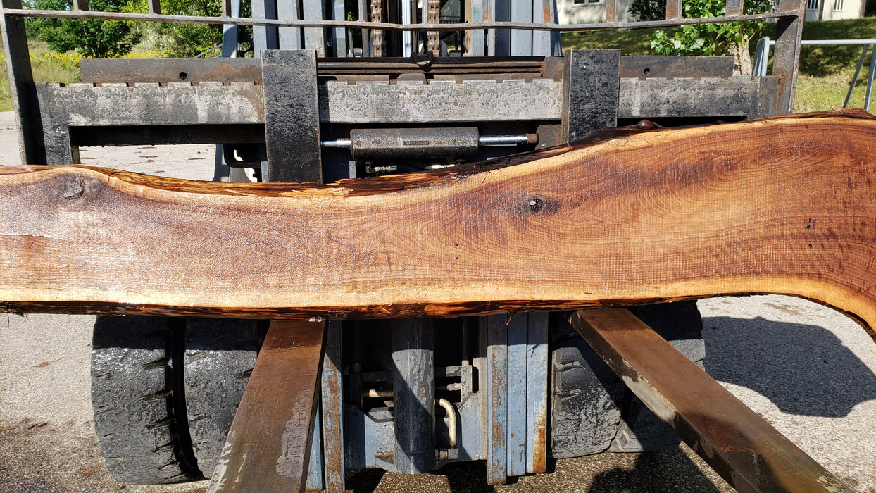 Walnut, American #8029(LA) - 2" x 10" to 23" x 132" - FREE SHIPPING within the Contiguous US. freeshipping - Big Wood Slabs