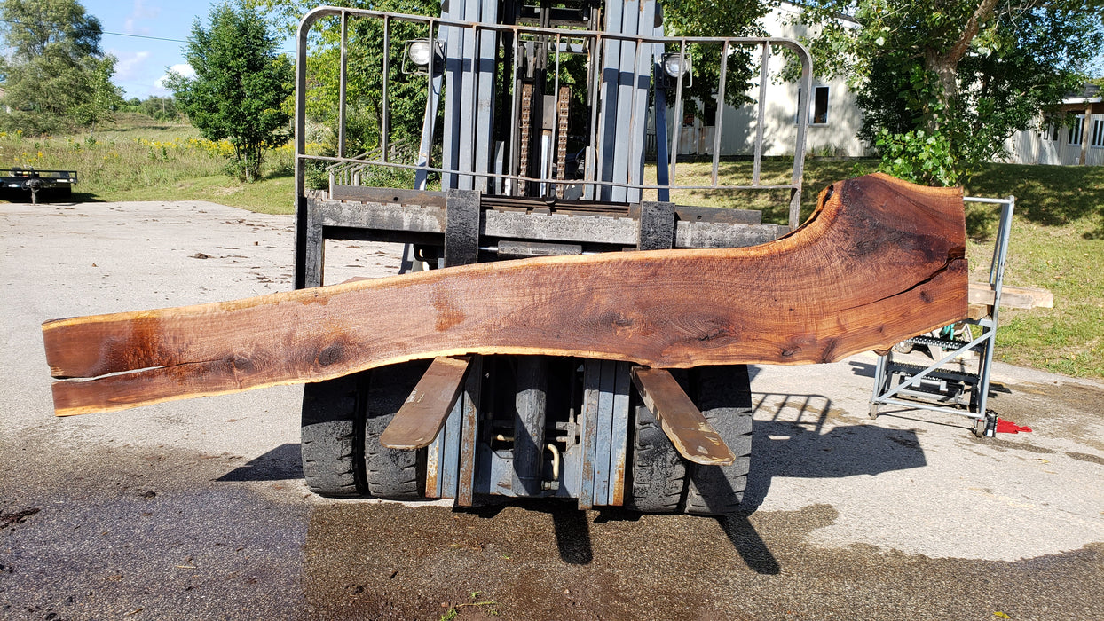 Walnut, American #8029(LA) - 2" x 10" to 23" x 132" - FREE SHIPPING within the Contiguous US. freeshipping - Big Wood Slabs