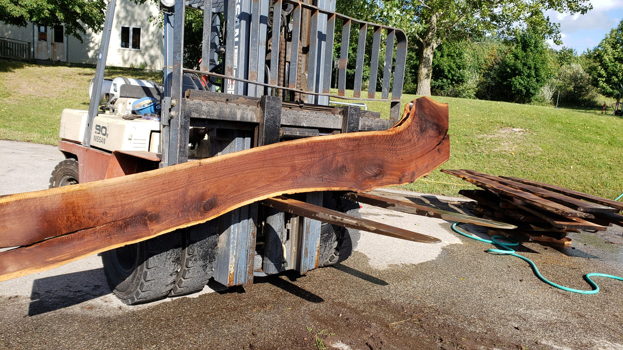 Walnut, American #8029(LA) - 2" x 10" to 23" x 132" - FREE SHIPPING within the Contiguous US. freeshipping - Big Wood Slabs