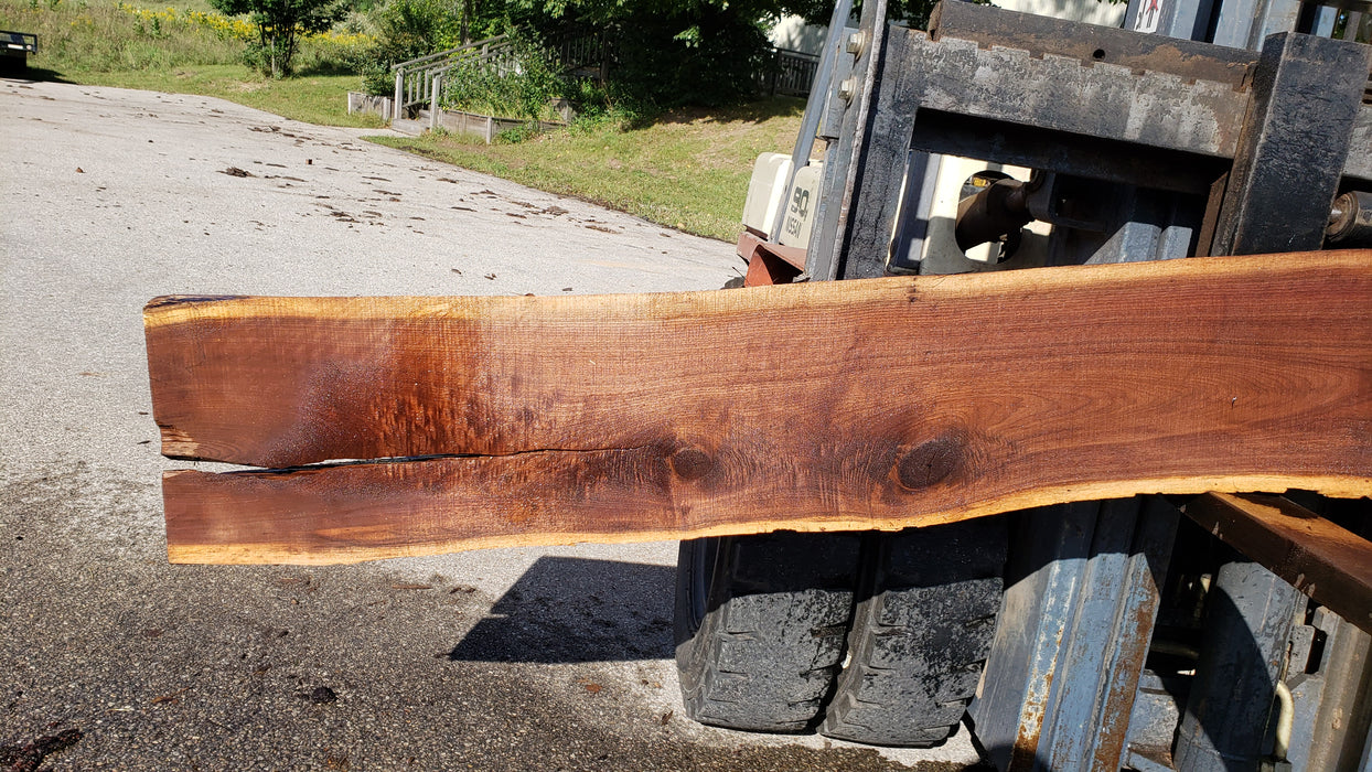 Walnut, American #8029(LA) - 2" x 10" to 23" x 132" - FREE SHIPPING within the Contiguous US. freeshipping - Big Wood Slabs