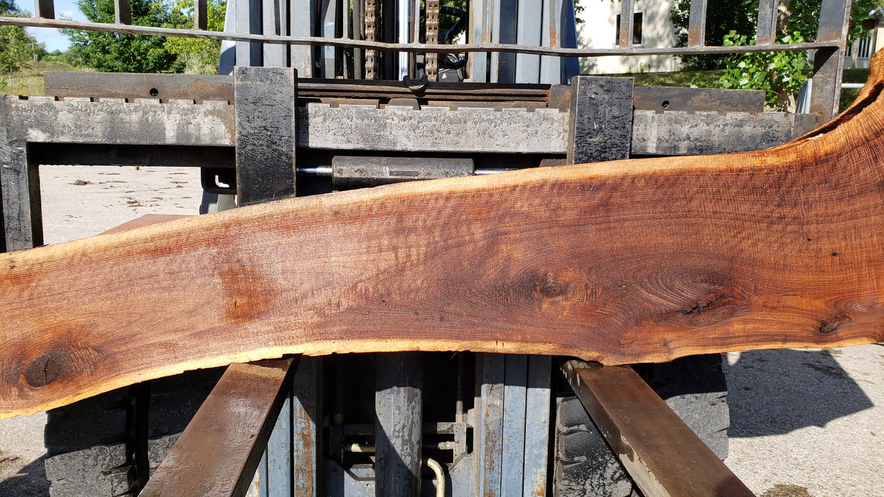Walnut, American #8029(LA) - 2" x 10" to 23" x 132" - FREE SHIPPING within the Contiguous US. freeshipping - Big Wood Slabs