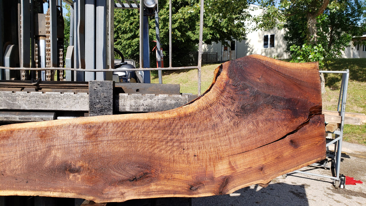 Walnut, American #8029(LA) - 2" x 10" to 23" x 132" - FREE SHIPPING within the Contiguous US. freeshipping - Big Wood Slabs