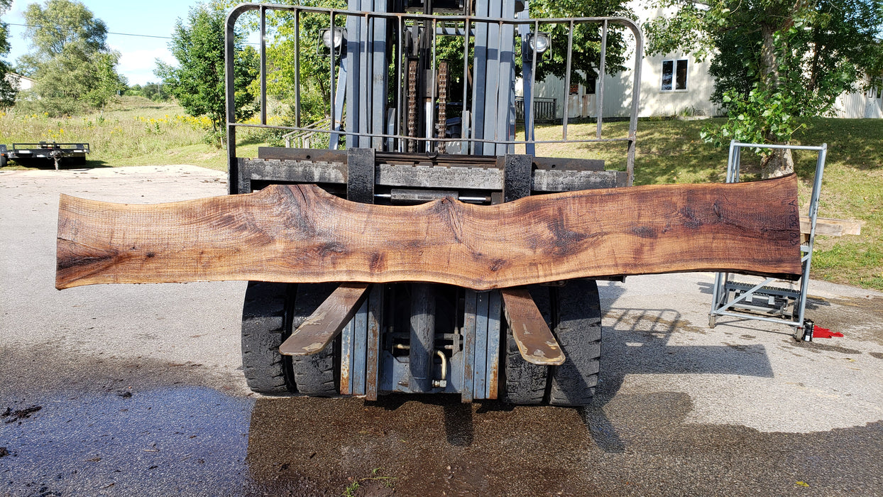 Walnut, American #8030(LA) - 2" x 13" to 17" x 127" - FREE SHIPPING within the Contiguous US. freeshipping - Big Wood Slabs