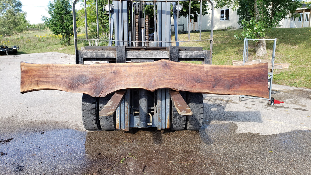 Walnut, American #8030(LA) - 2" x 13" to 17" x 127" - FREE SHIPPING within the Contiguous US. freeshipping - Big Wood Slabs