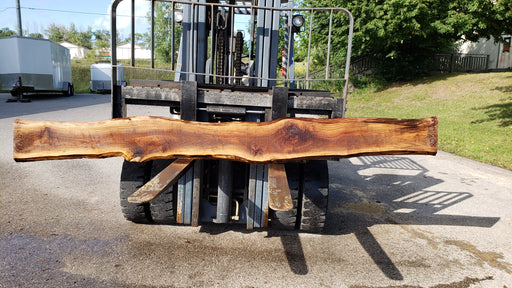 Walnut, American #8031 (LA) - 1-1/2" x 8" to 12" x 128" - FREE SHIPPING within the Contiguous US. freeshipping - Big Wood Slabs