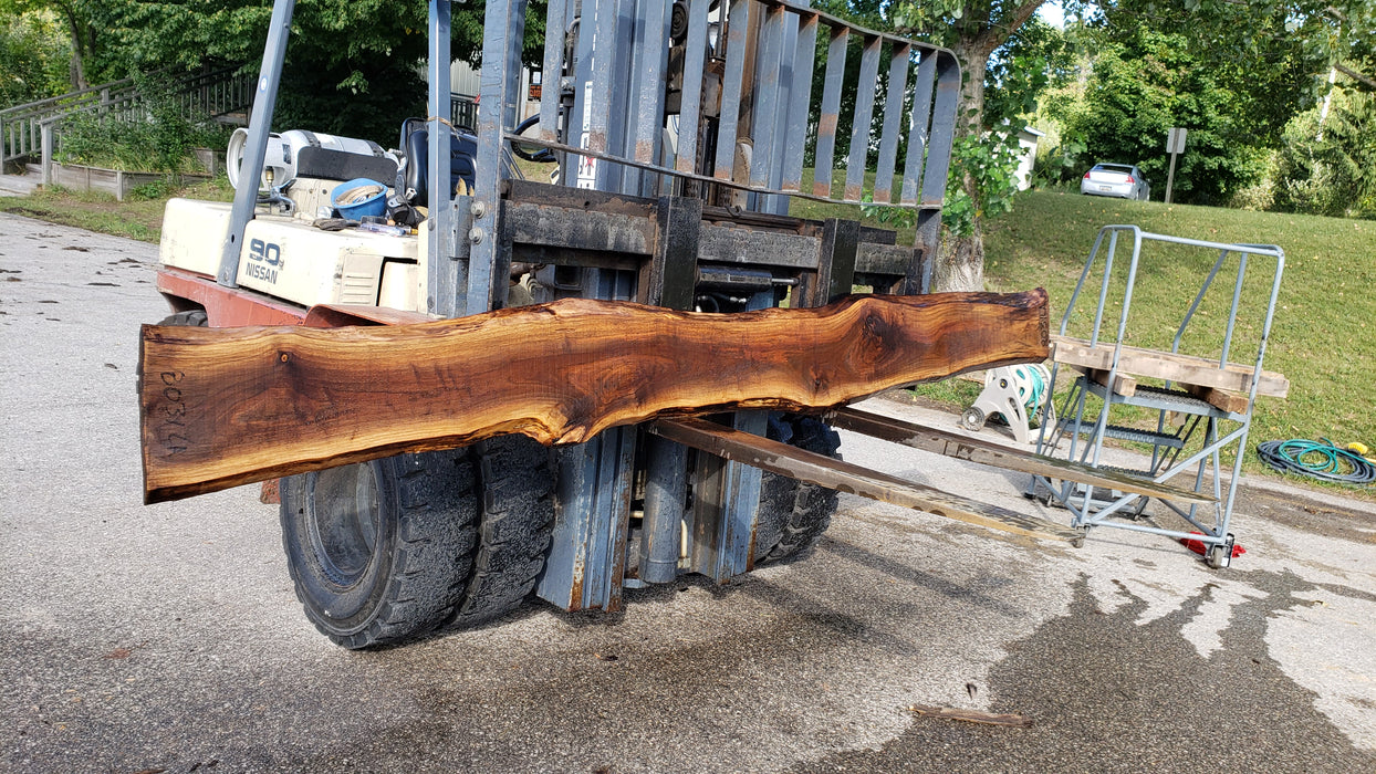 Walnut, American #8031 (LA) - 1-1/2" x 8" to 12" x 128" - FREE SHIPPING within the Contiguous US. freeshipping - Big Wood Slabs