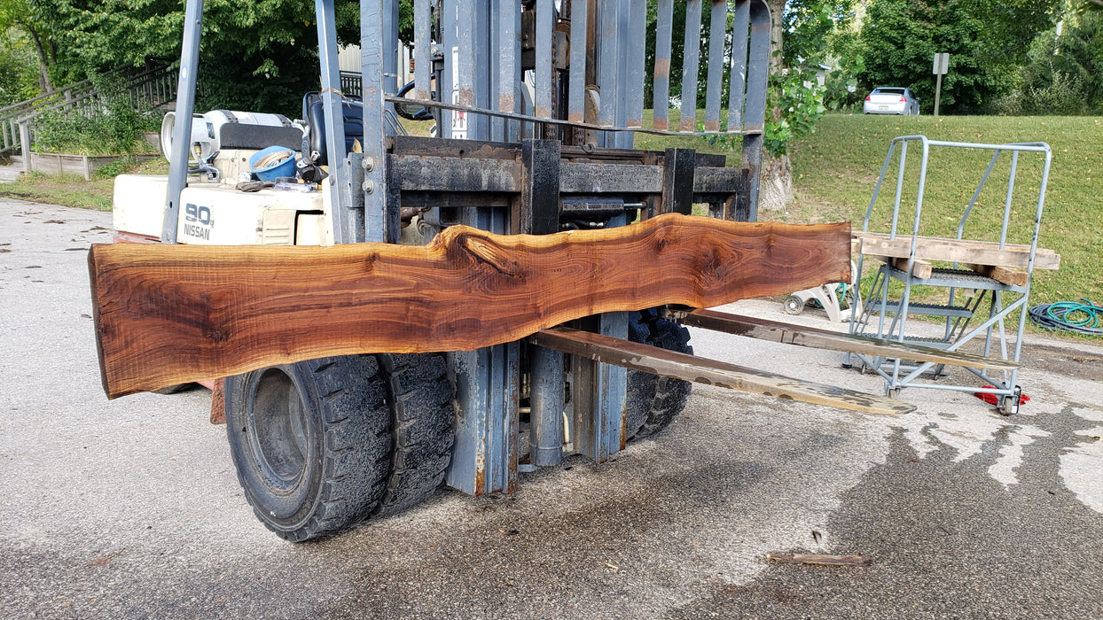 Walnut, American #8031 (LA) - 1-1/2" x 8" to 12" x 128" - FREE SHIPPING within the Contiguous US. freeshipping - Big Wood Slabs